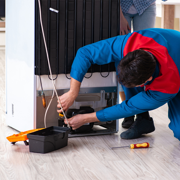 what are the common refrigerator repair services in Negreet